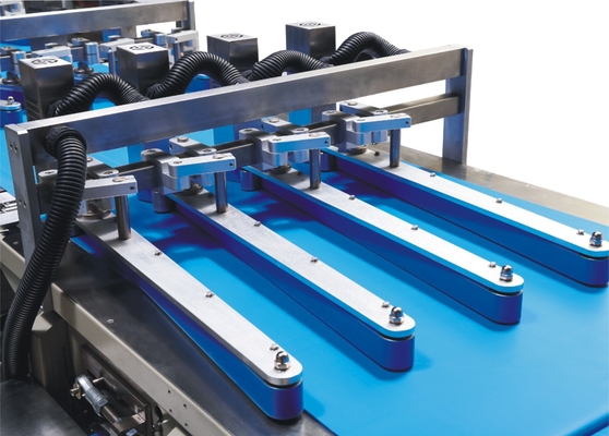 Línea de envasado automática de la comida de la galleta de la galleta alimentación de la galleta de la torta y línea de embalaje del bolso