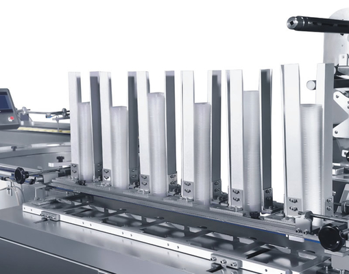 Planta de fabricación horizontal del acondicionamiento de los alimentos de la taza pan de la torta que alimenta a Tray Loading Packing