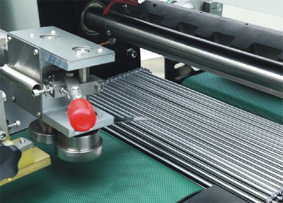 Sello horizontal de la empaquetadora del terraplén del formulario del PLC que transporta los motores servos